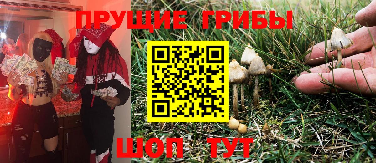 Галлюциногенные грибы MAGIC MUSHROOMS  Вход с VPN  Псилоцибиновые грибы Magic Shrooms  Зеленодольск 